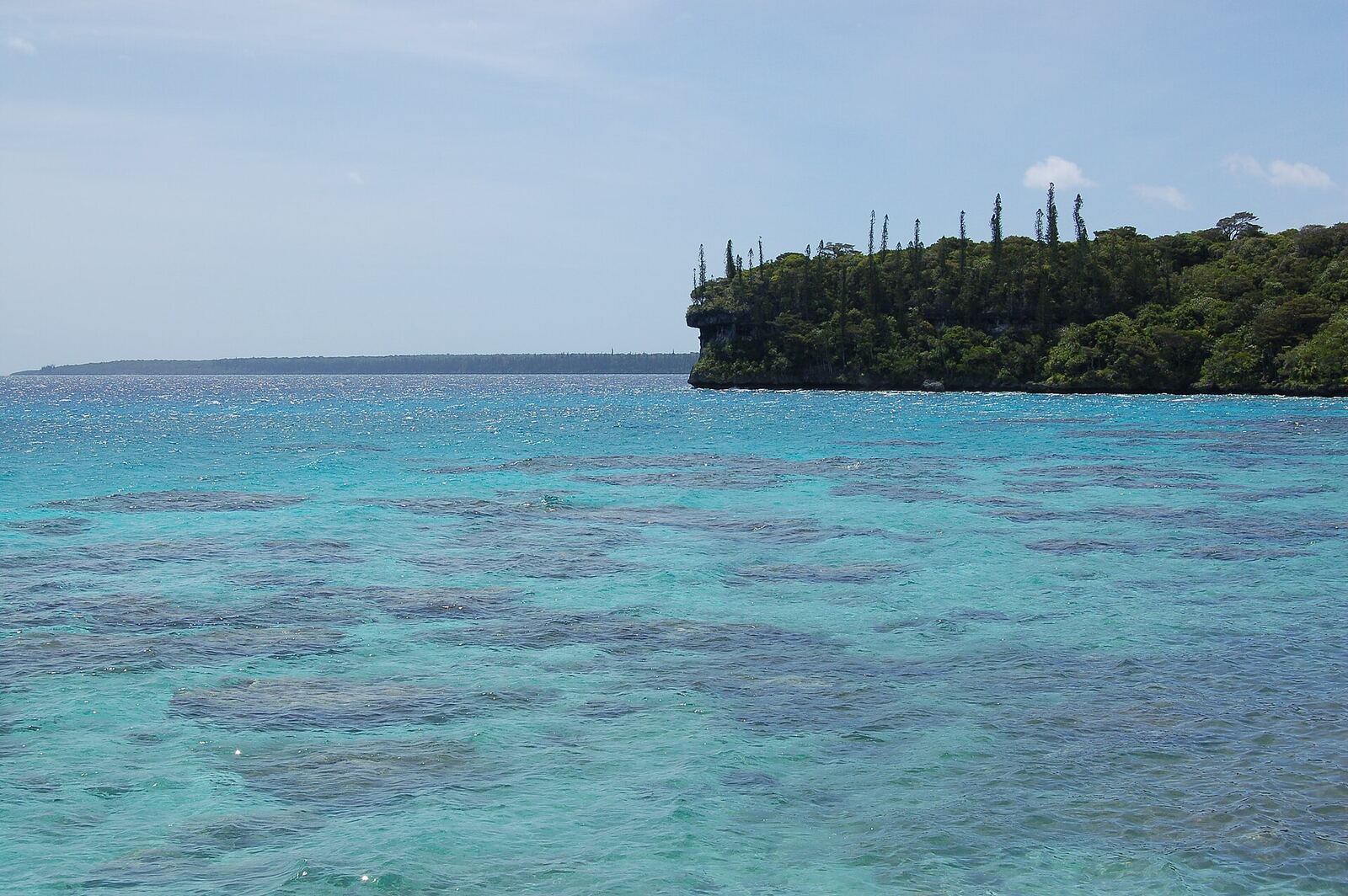 Snorkelling & islet trips