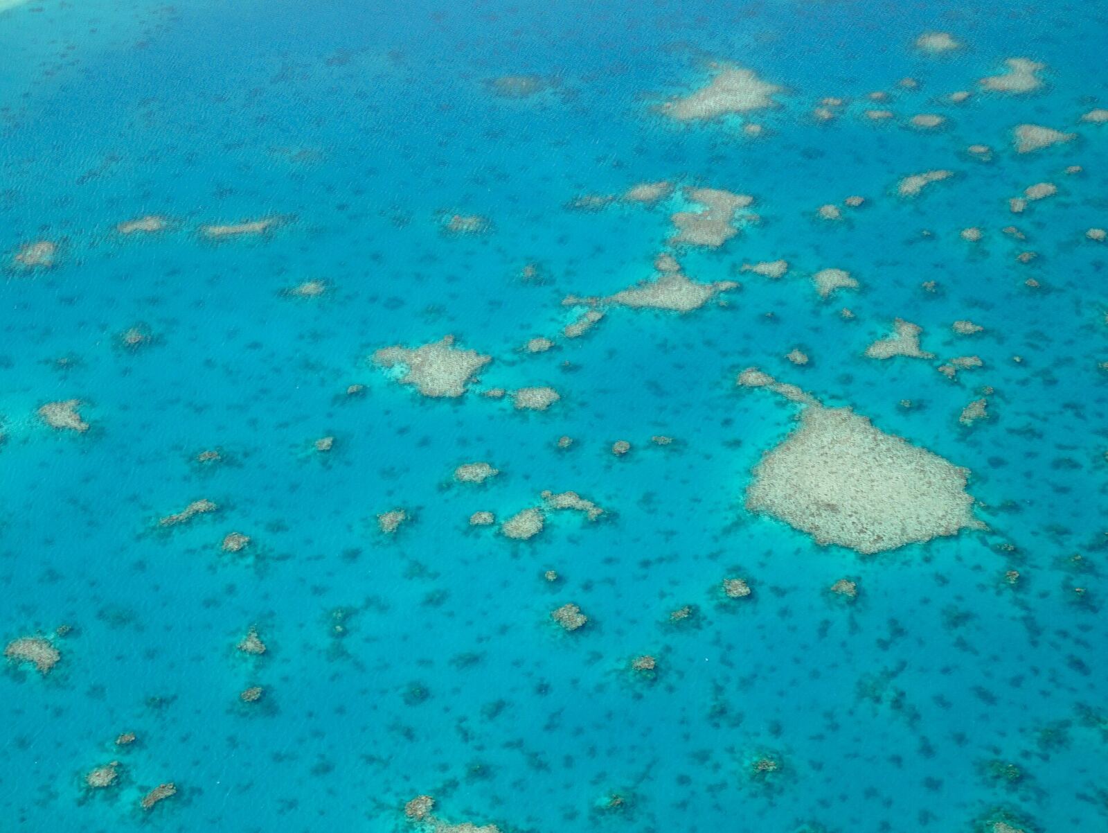 Diving the lagoon